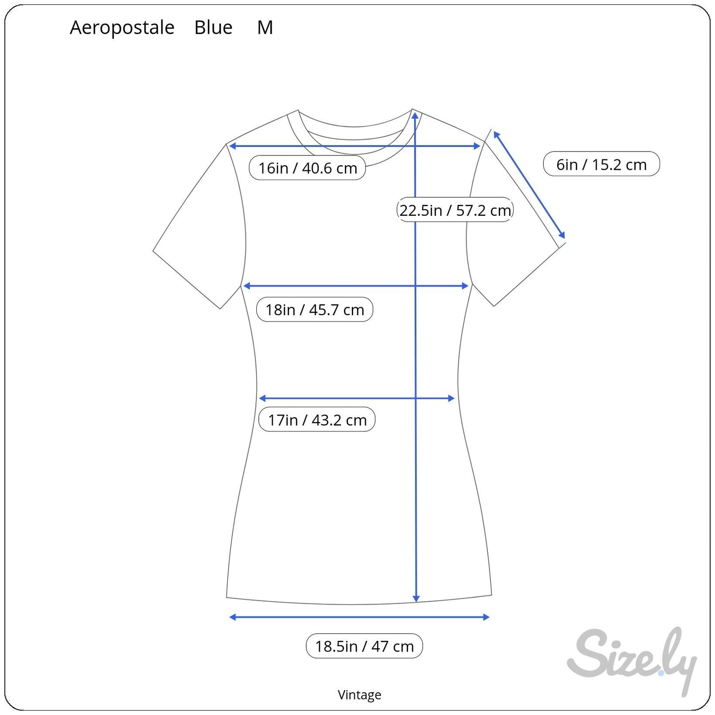 Aeropostale Vintage Y2K Babydoll Animal Swing Graphic Boyfriend Tee Blue Shirt M