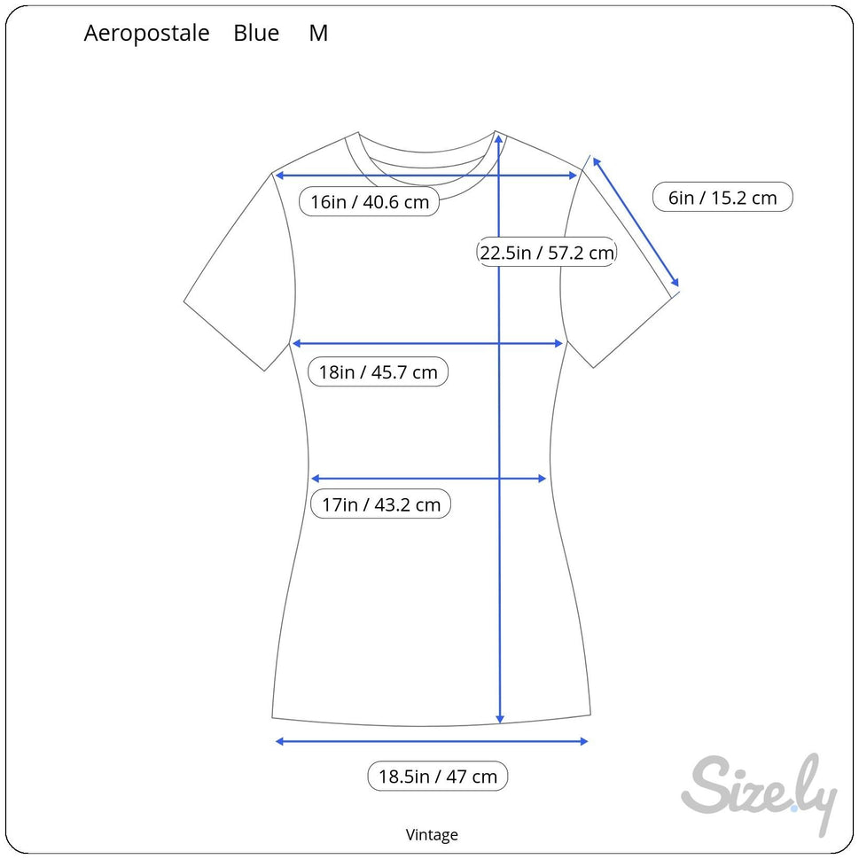 Aeropostale Vintage Y2K Babydoll Animal Swing Graphic Boyfriend Tee Blue Shirt M