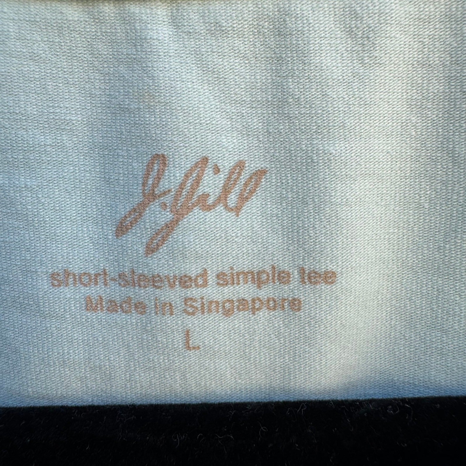J. Jill Y2K Womens Mint Green Short Sleeve Simple Tee Cotton Lycra Shirt Large