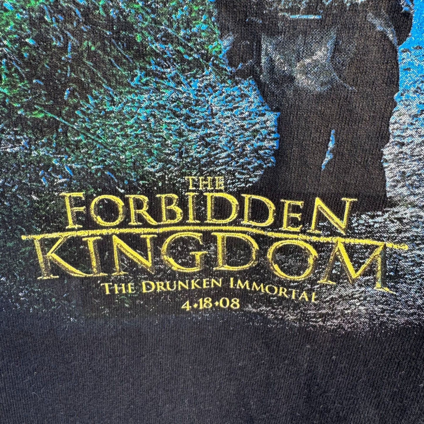 The Forbidden Kingdom Vintage Jackie Chan T-Shirt Black Graphic Tee Lionsgate